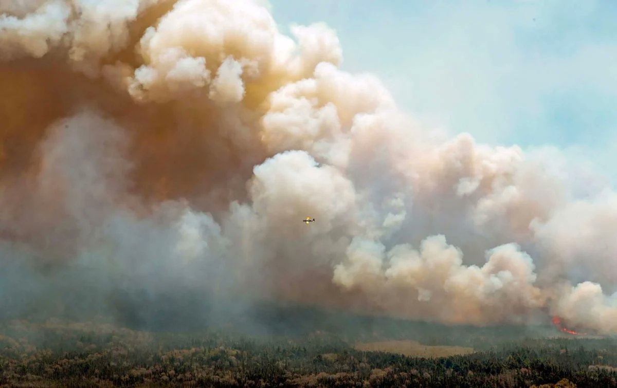 National Newswatch (@natnewswatch) on Twitter photo Critics of forest fire restrictions can’t see the truth for the burning trees, <a href="/msSharanKaur/">Sharan Kaur</a> writes. thestar.com/opinion/contri…
Find out more at nationalnewswatch.com Critics of forest fire restrictions can’t see the truth for the burning trees, <a href="/msSharanKaur/">Sharan Kaur</a> writes. thestar.com/opinion/contri…
Find out more at nationalnewswatch.com