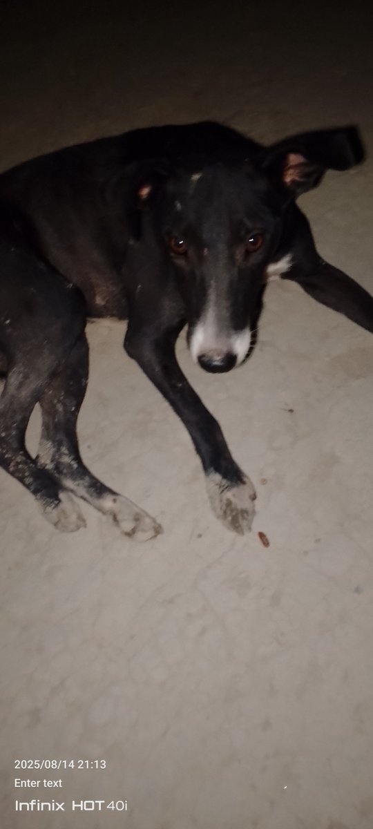 officallyB's tweet image. 