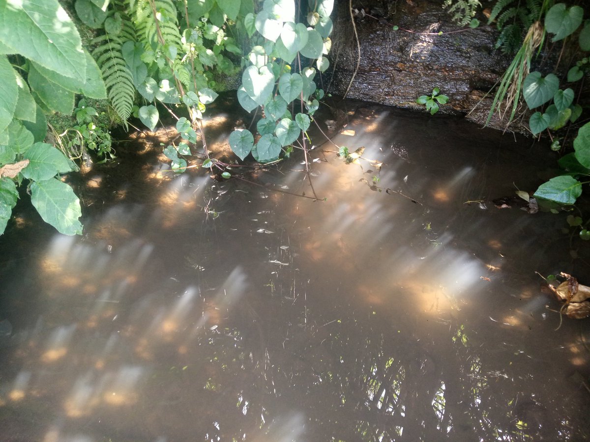 When humanity loses its meaning, barbarism takes over.

A man has deliberately destroyed a community water spring, subjecting the entire community to grievous suffering.

This is not only disrespect for the law, but also a blatant insult to <a href="/NemaKenya/">NEMA Kenya</a> and the entire community.
