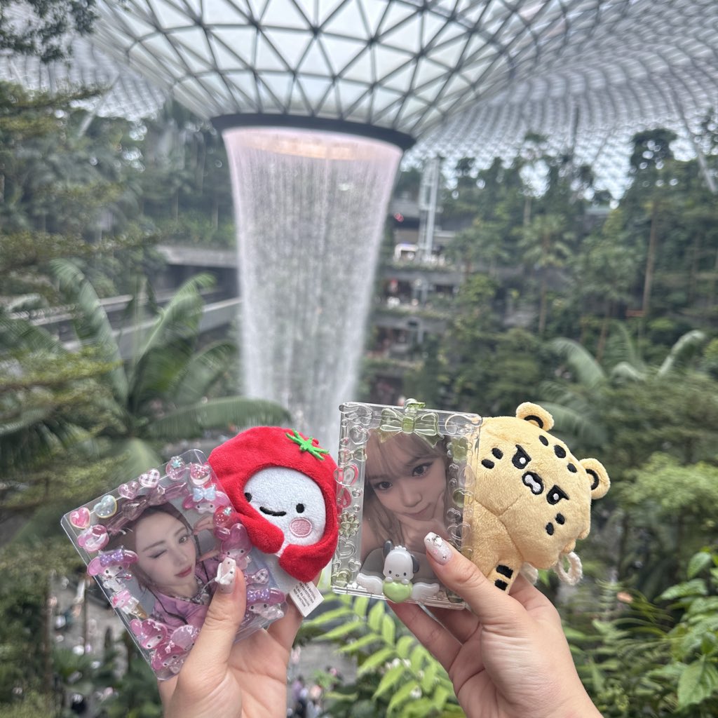 ついに！！！！！！！🇸🇬✨️