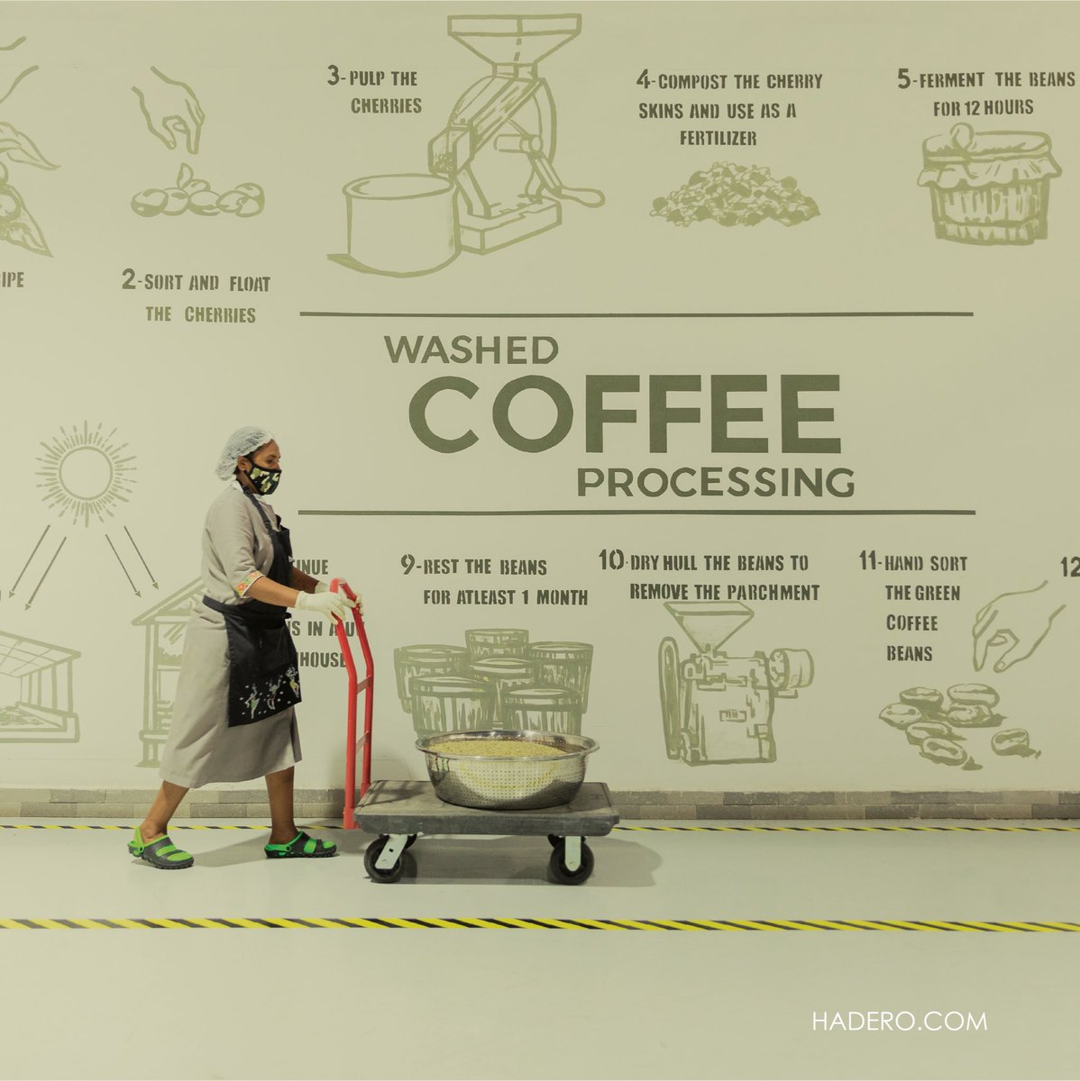 Hadero Coffee Company tweet media