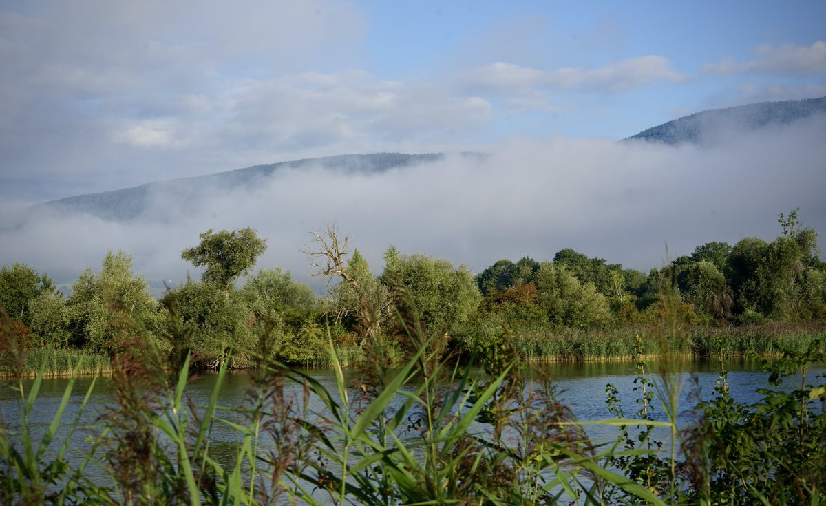 Early morning  #Landscapephotography #Switzerland