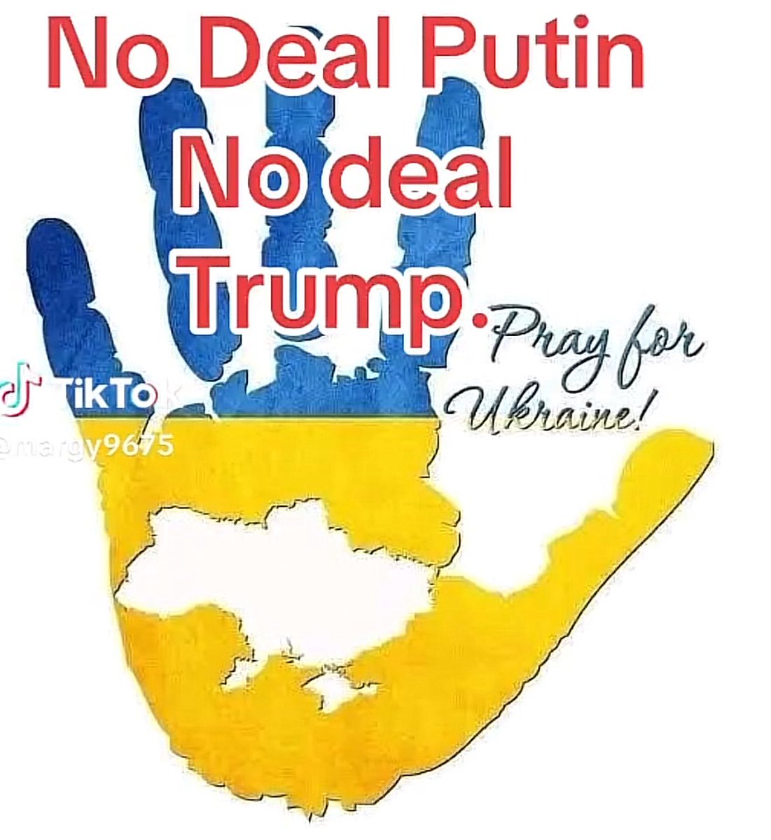 Naya 🇨🇵🇪🇺🇺🇦PFM GIRL (@jadeambre09) on Twitter photo 