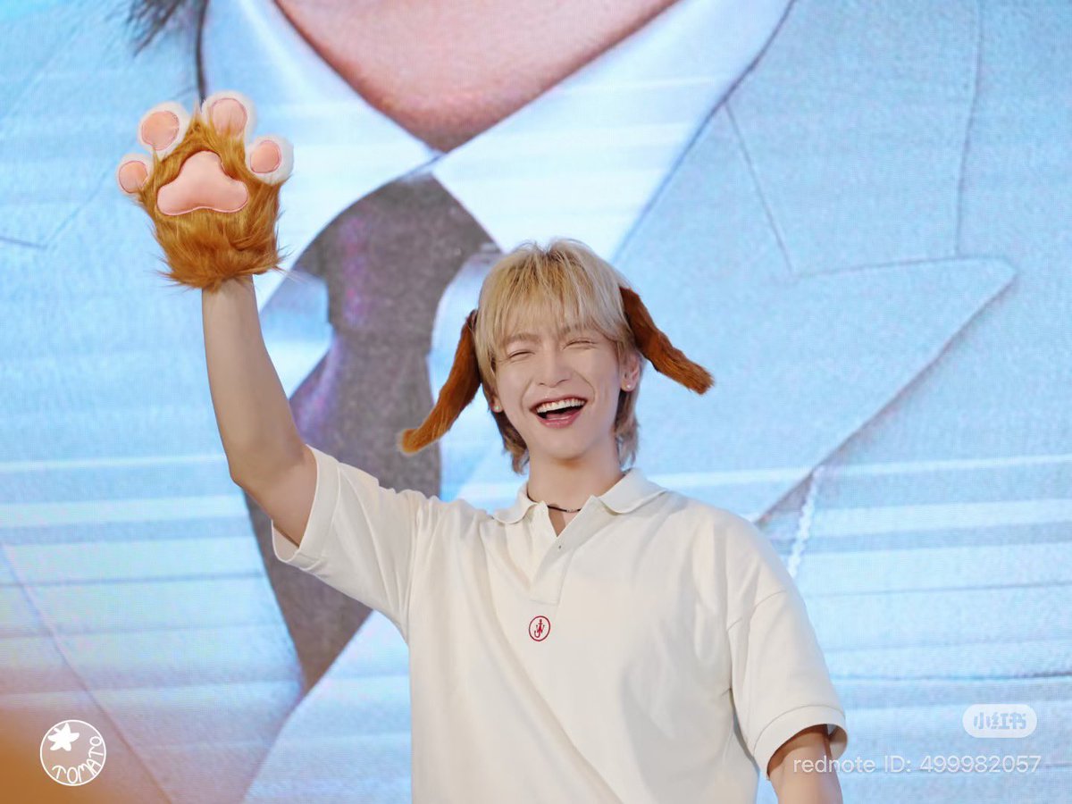 이정도면 뭐 강아지귀 어케 숨기고 살았나 싶을 정도로 잘 어울림
#김재현