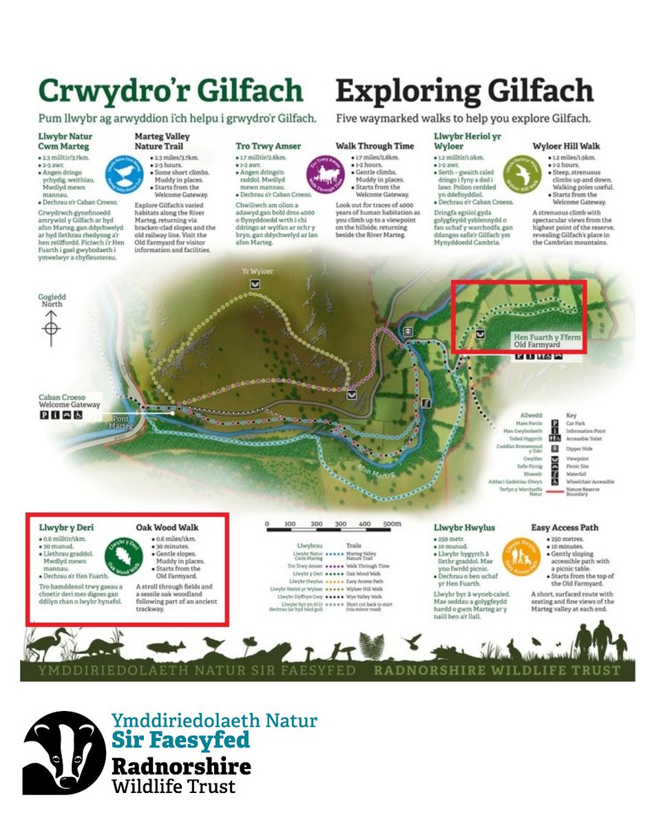 This is just a quick note to say that the Oak Wood Walk at Gilfach will be temporarily closed next week to allow National Grid Engineers to undertake some necessary maintenance works

⚠️ It will be closed from Monday 18th to Wednesday 20th of August