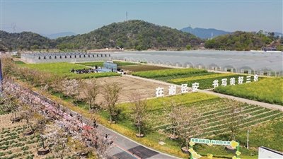 iXiaoshan's tweet photo. 🌿From brick kilns to blue skies — Xianghu Lake shows how #Xiaoshan turns green hills into golden growth. On National Ecology Day, we honor 20 years of "Lucid waters and lush mountains are invaluable assets" with zero-carbon action. #GreenIsGold #Ecology https://t.co/0PKaDB4AZO