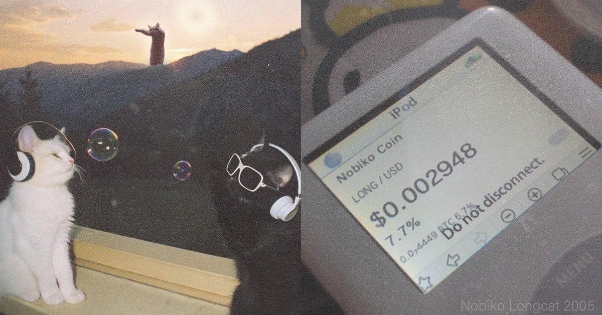 NOBIKO LONG CAT (@nobikocto) on Twitter photo 