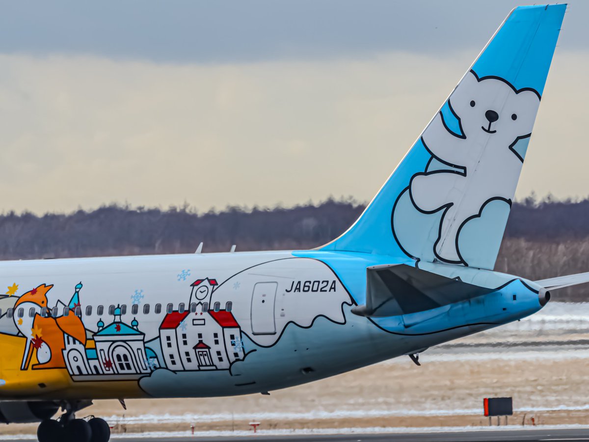 JA01ME's tweet photo. @airdo_hokkaido やはりこのデザイン一択ですね🐻❄️
いつか復刻されることを期待してます✨
#JA602A #ベアドゥ https://t.co/CFZkH8DgoG