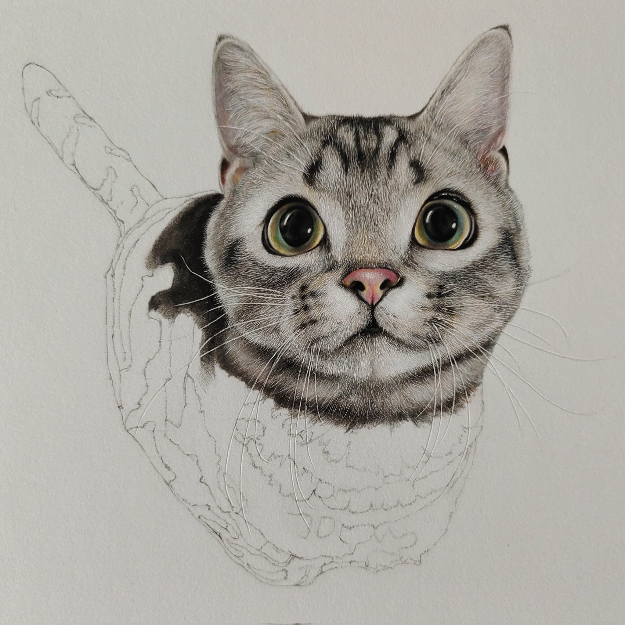 【一点限り】❽トリックアート　鉛筆画　猫　ネコ 曲奥/色鉛筆画 on X: 