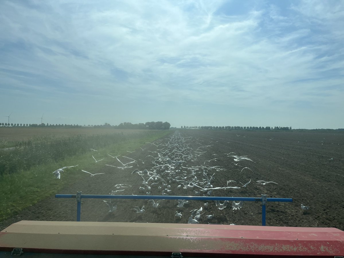 Massale toename van volgers deze morgen. #akkertweet