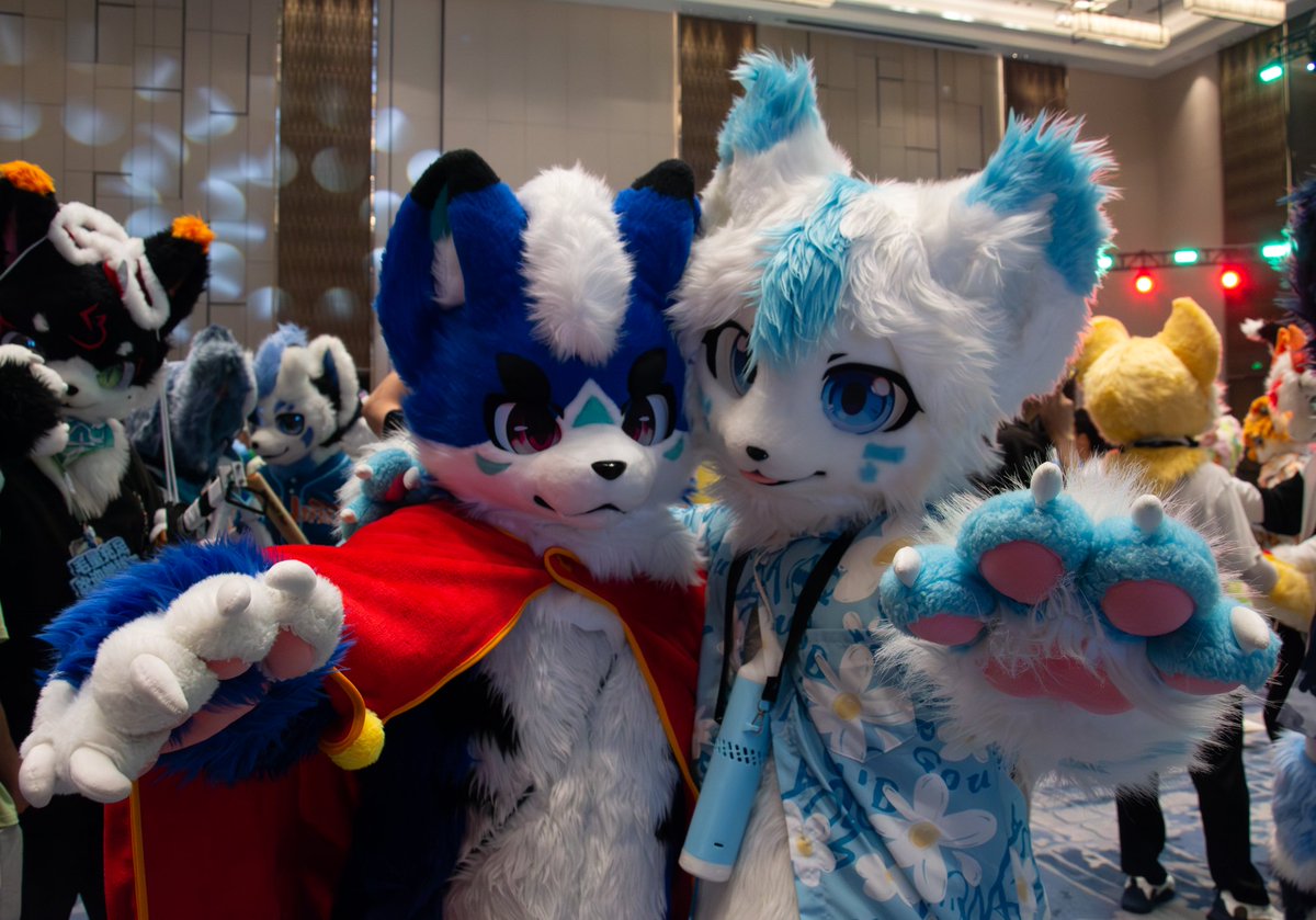 #FursuitFriday
快来吸吸咱们~