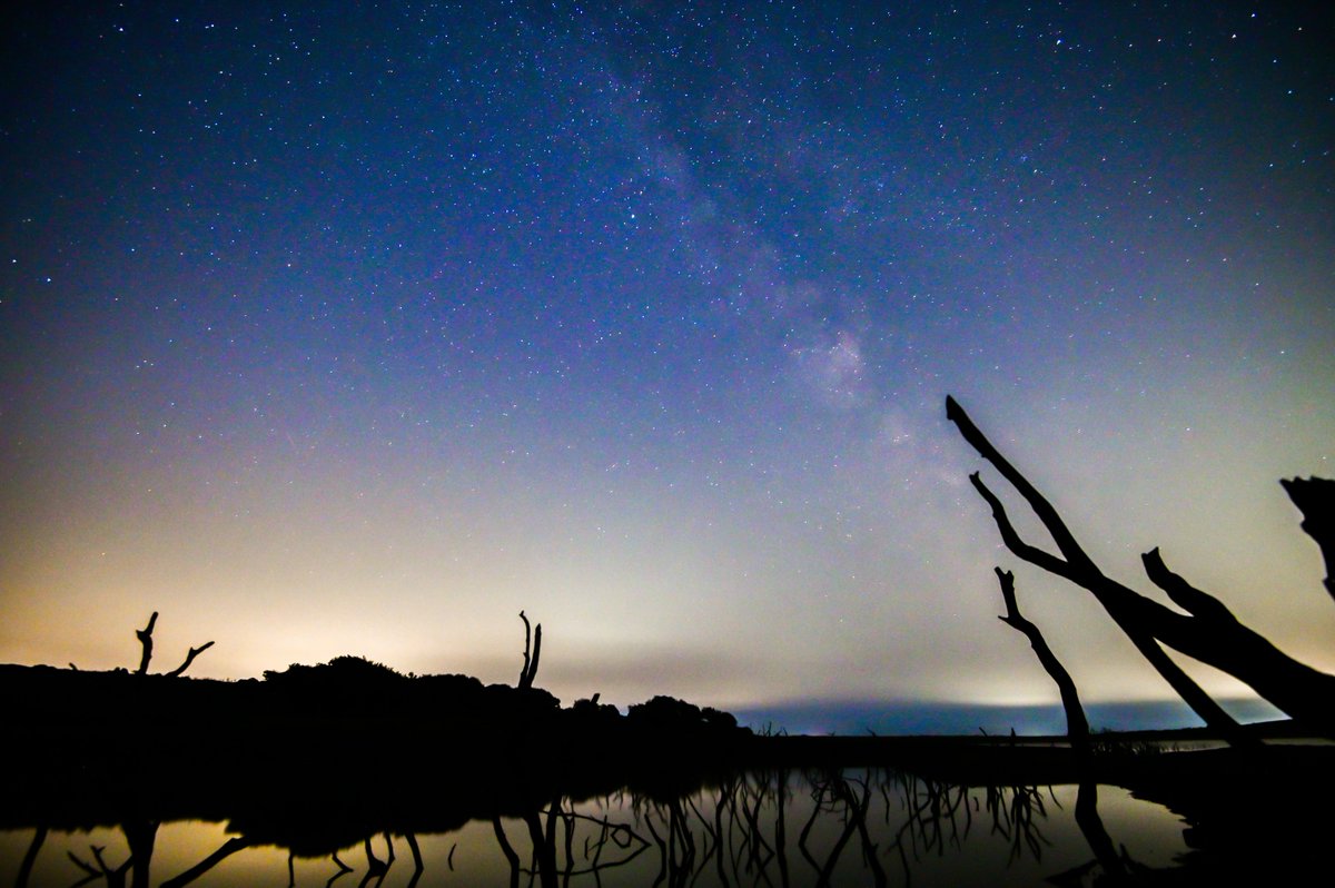 The current low water levels in Colliford lake has exposed some old dead trees, the mist coming off the water gave an ethereal feel when lit by a torch. <a href="/SouthWestWater/">South West Water</a> <a href="/ILoveCornwallUK/">Visit Cornwall</a> #BodminMoor #Cornwall