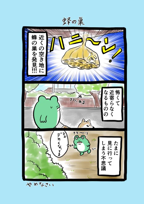 ♪🐸エッセイ310回目🐸♪

音楽アプリと写真を整理中なのですが、ジャンルごととかに下手に仕分けしたせいで頭がこんがらがり、ものっそめんどくさいことになっているカエルです💻🐸💦
シンプルが一番ですね😂タハハ 

#漫画が読めるハッシュタグ 
#蜂の巣
#カップ麺とおにぎり 