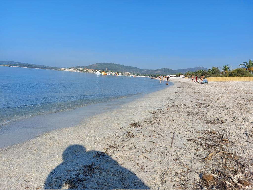endrius_89's tweet image. I cani della dogbeach ad Alghero se la passano meglio degli umani a Rimini.
#Ferragosto