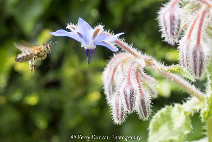 Kerry Duncan Photogr tweet media