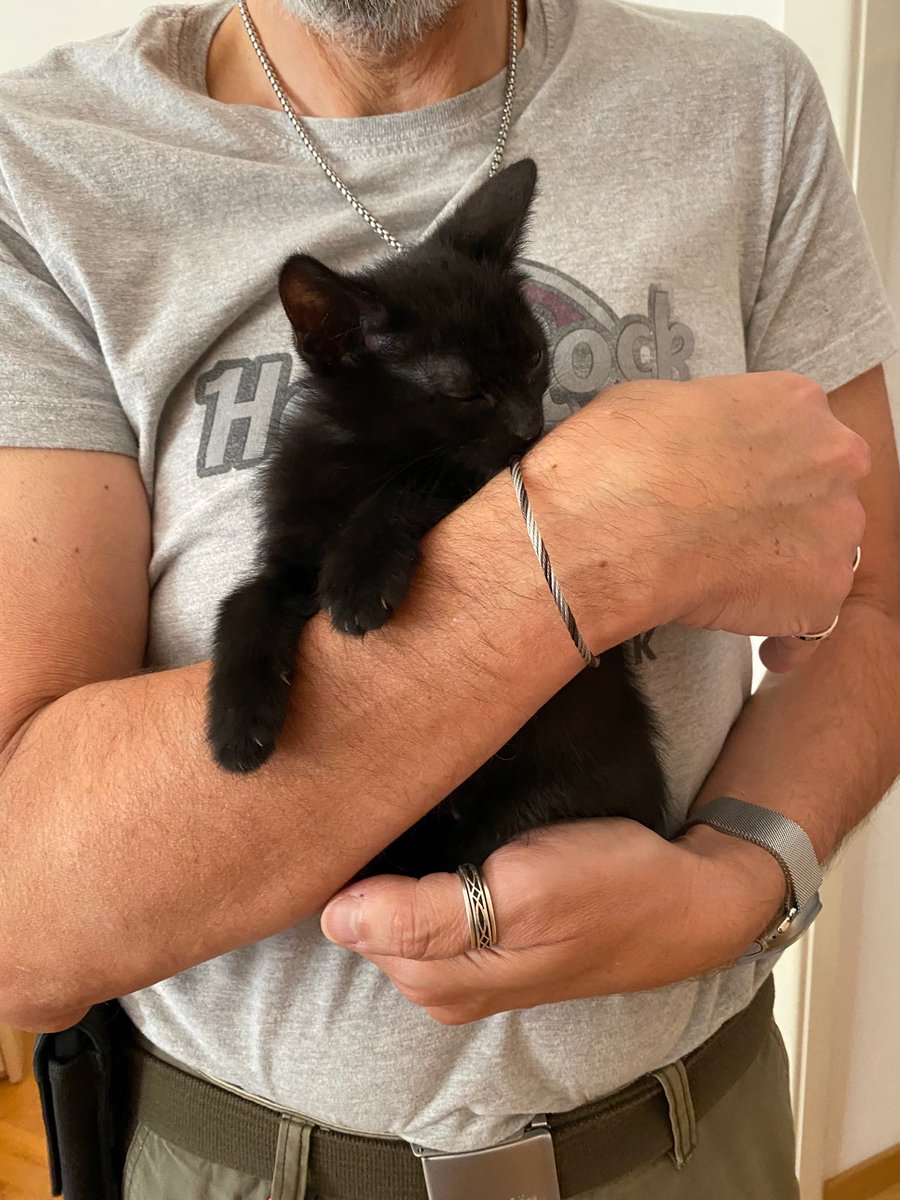 Oggi è il compleanno di #Pepe🐾: compie 2 anni, è ormai adolescente quasi maggiorenne 🐈‍⬛❤️