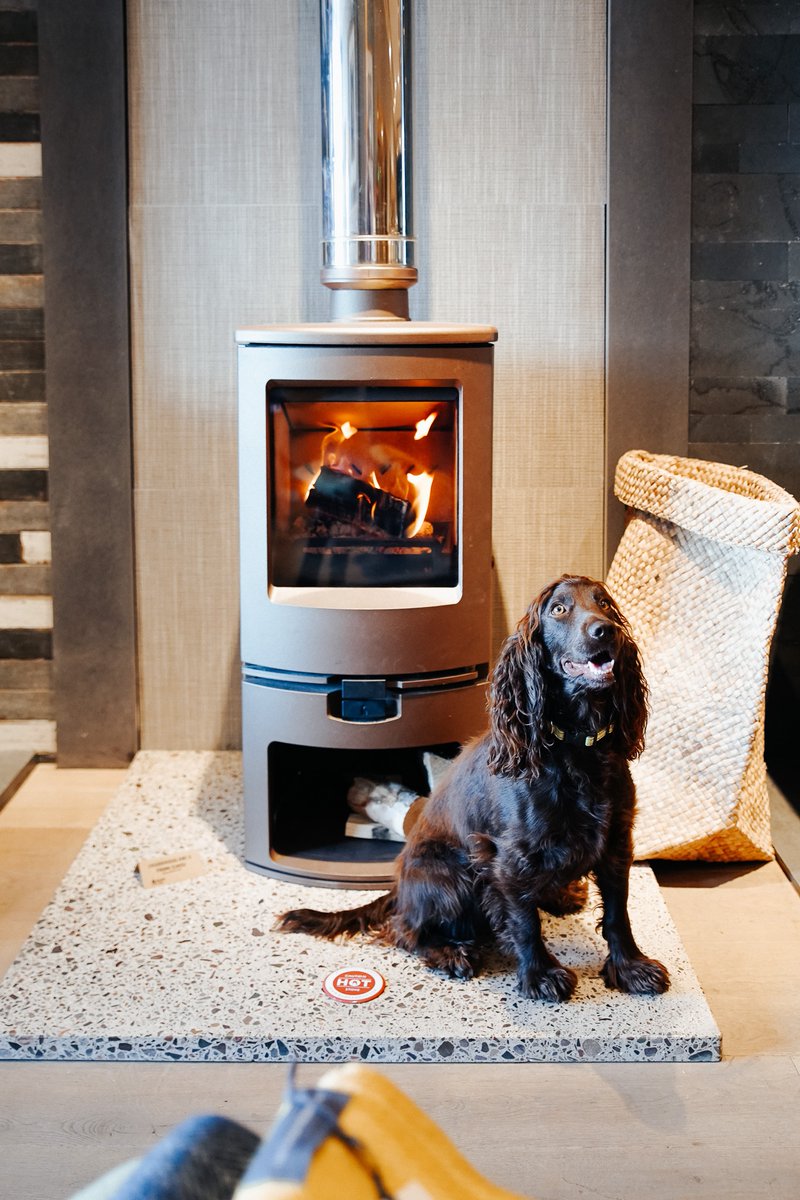 Bonk & Co tweet media