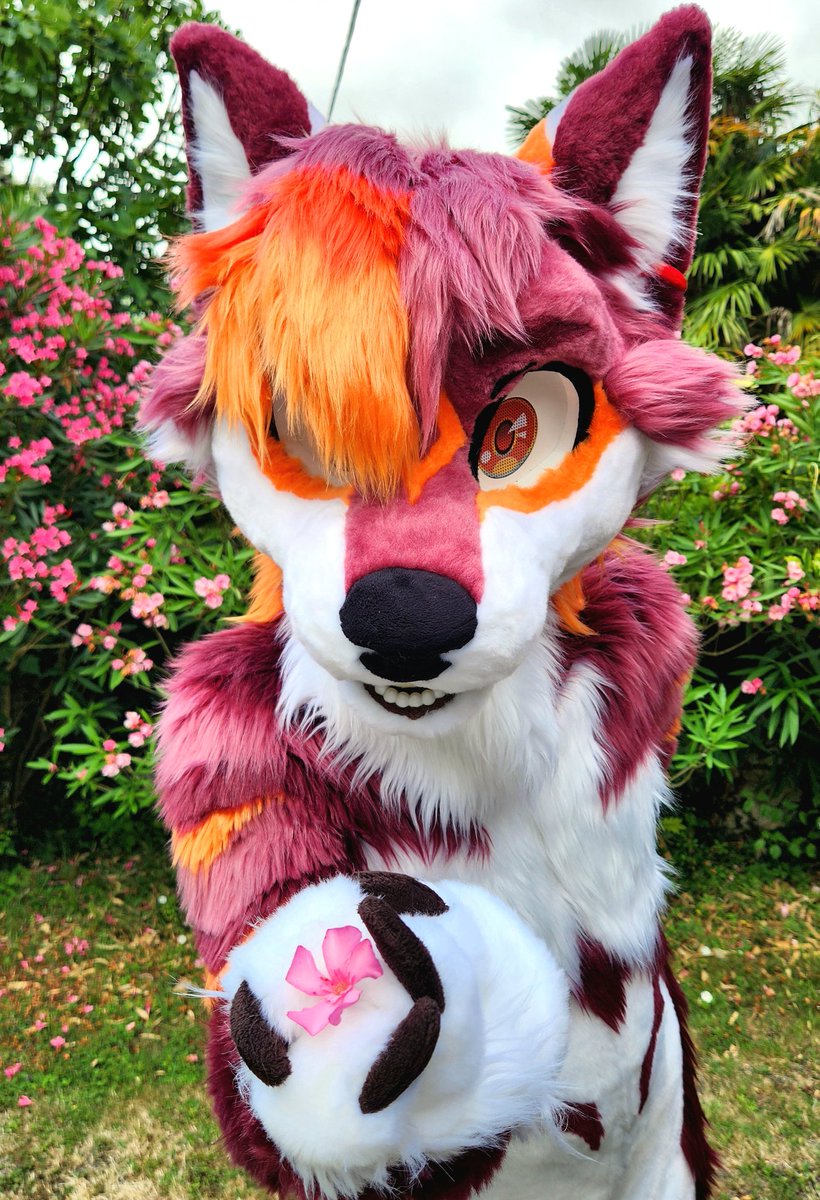 Here, it's for you! 🌸

📸: <a href="/YSolarium/">Yumi</a>
🪡: <a href="/HybridLFursuits/">HybridLabs Fursuits 🐺🐉</a> 

#FursuitFriday