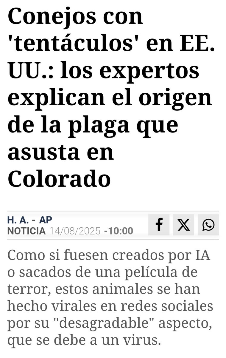 Chema Pamundi tweet media