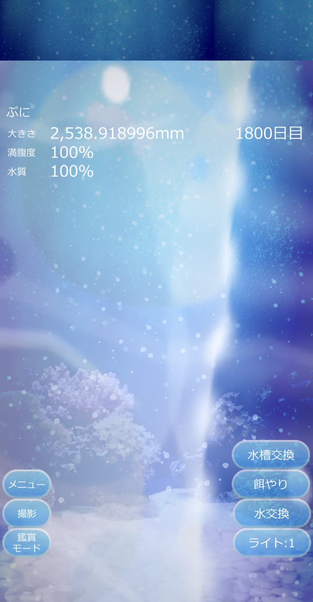 MAROCOME1's tweet photo. ぷにちゃん1800日目
��わいいねでかいね https://t.co/dE7adkcctr