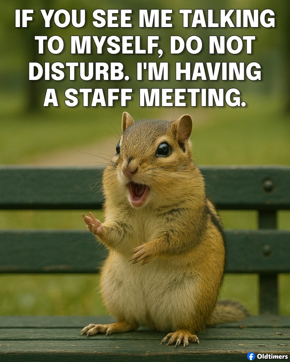 Oldtimers tweet media