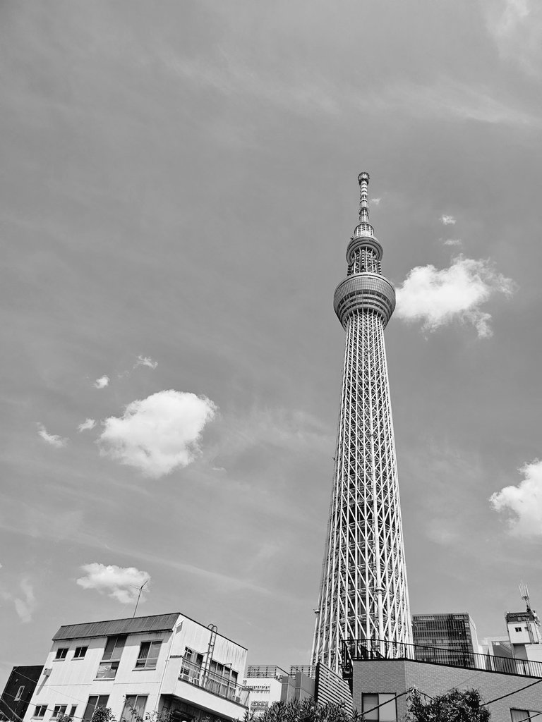 scarecrowcrown's tweet photo. 来たぜ東京
明日はコミケだ！ https://t.co/EYlxCq7D7t