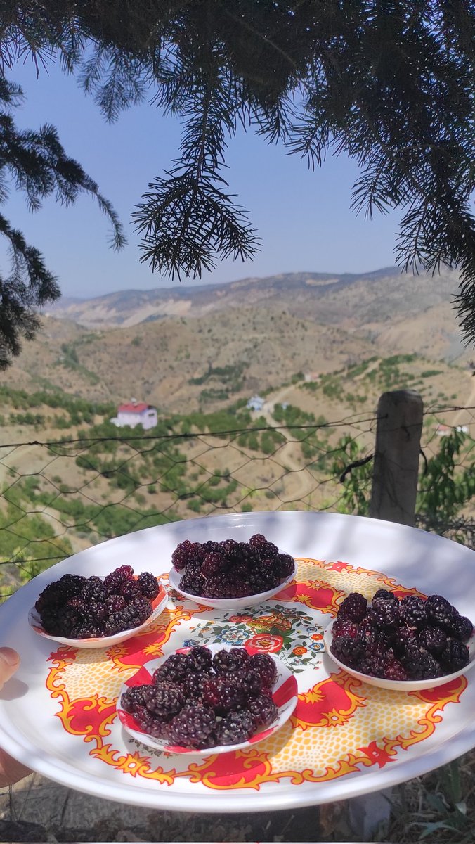 🌾 Köy, toprağın emeğe, emeğin huzura dönüştüğü yerdir.

Burada zaman acele etmez, kalpler telaş bilmez.

Bir yudum çay, bir nefes huzur. 🍃