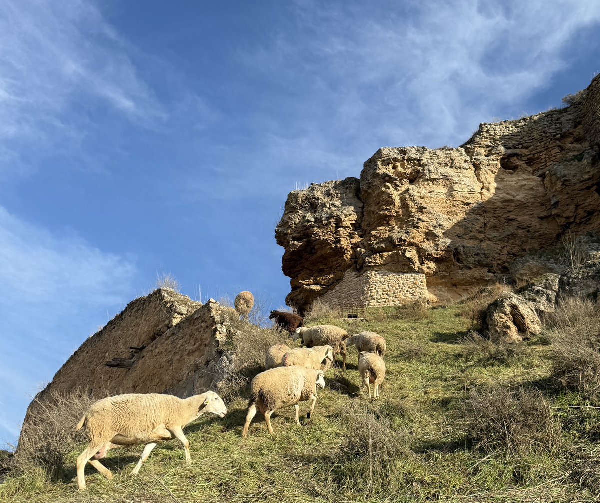 EnglishWH's tweet image. Responsible experiences in the ❤️ of Spain ! 
Visit our website and choose your next adventure in your trip to Spain 
adventuresinunspoiledspain.com