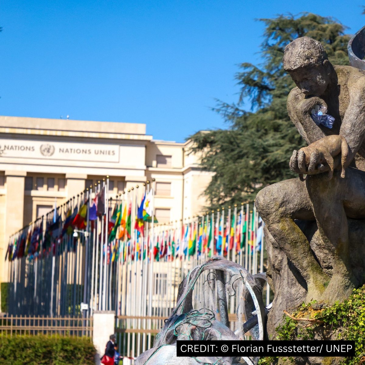Nessun accordo contro l'inquinamento da plastica
La Svizzera si rammarica di questo risultato, ma continuerà a impegnarsi per il rafforzamento della cooperazione internazionale e porterà avanti le misure a livello nazionale.
Comunicato stampa👉news.admin.ch/it/newnsb/UG3e…