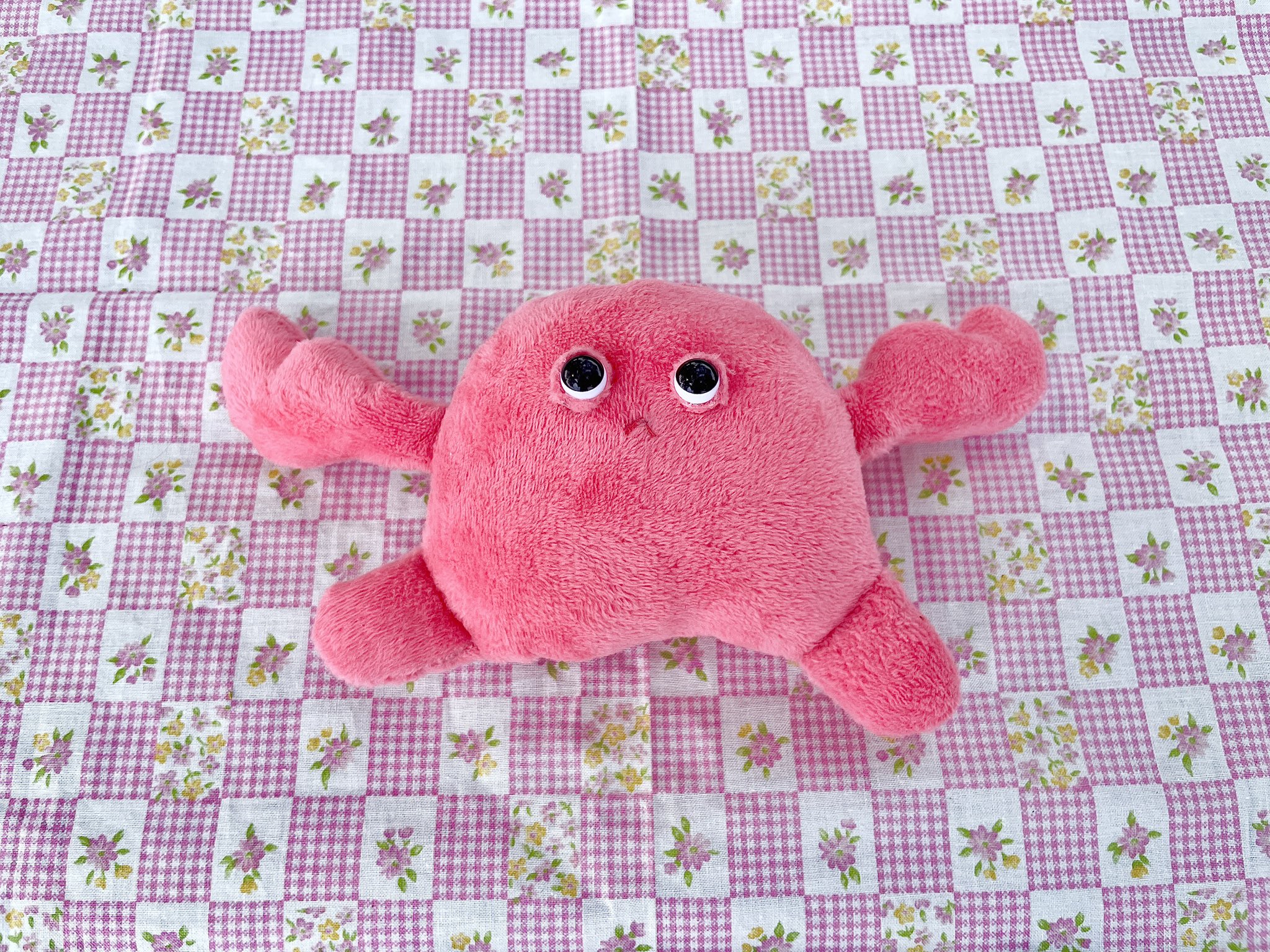 茶丸✩様専用ページ ぬいぐるみオーダー 【公式通販】