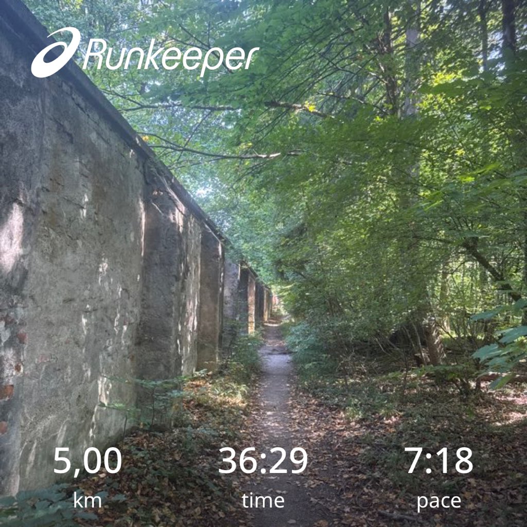 Phoenix_Muc's tweet image. Running to get some peace of mind 🏃‍♂️
