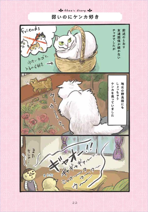 3/3 