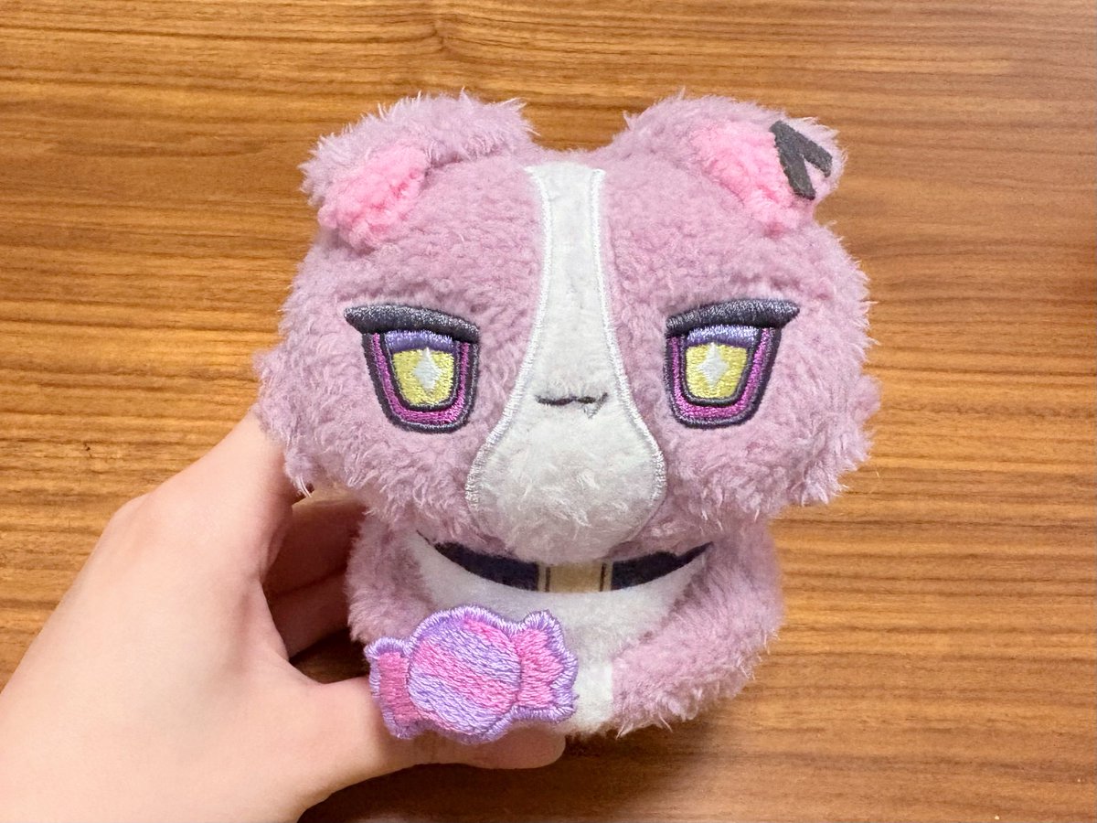 りょーか🪡 (@rk_s_nn_) on Twitter photo 