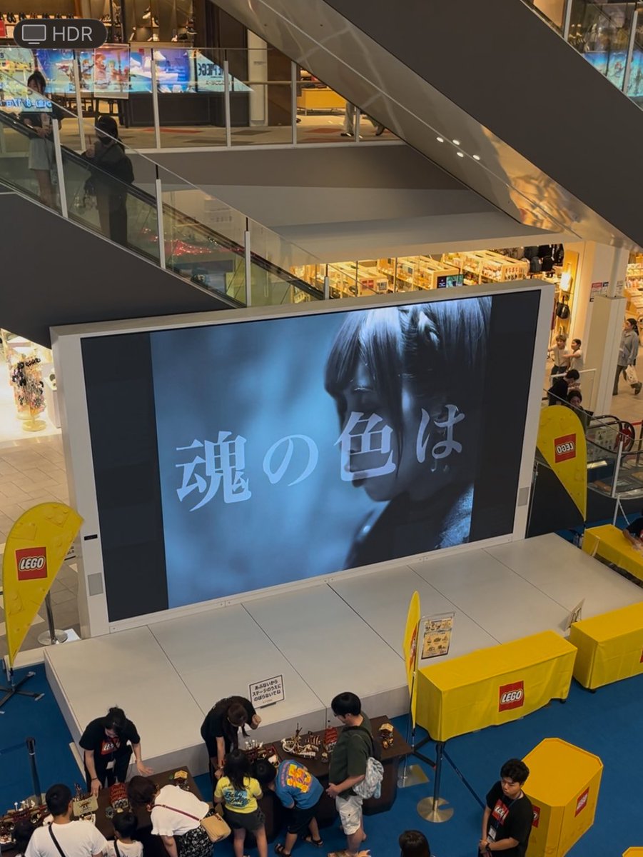 ららぽーともしっかり堪能しました🐾