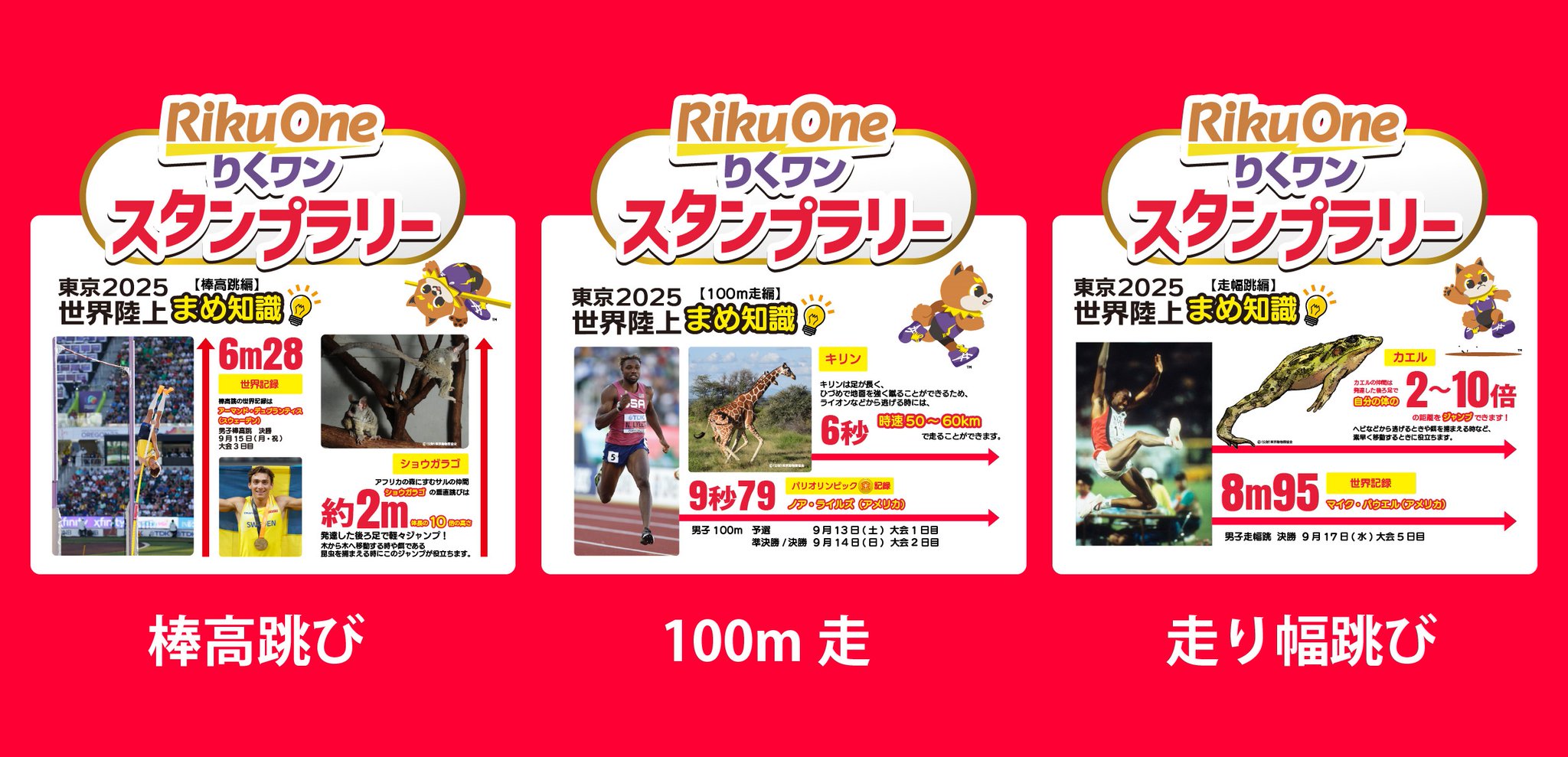 マクロススタンプラリー in 東京ドームシティアトラクションズ缶バッチ5種セット マクロス』×「RED° TOKYO TOWER」のコラボイベント「マクロス40