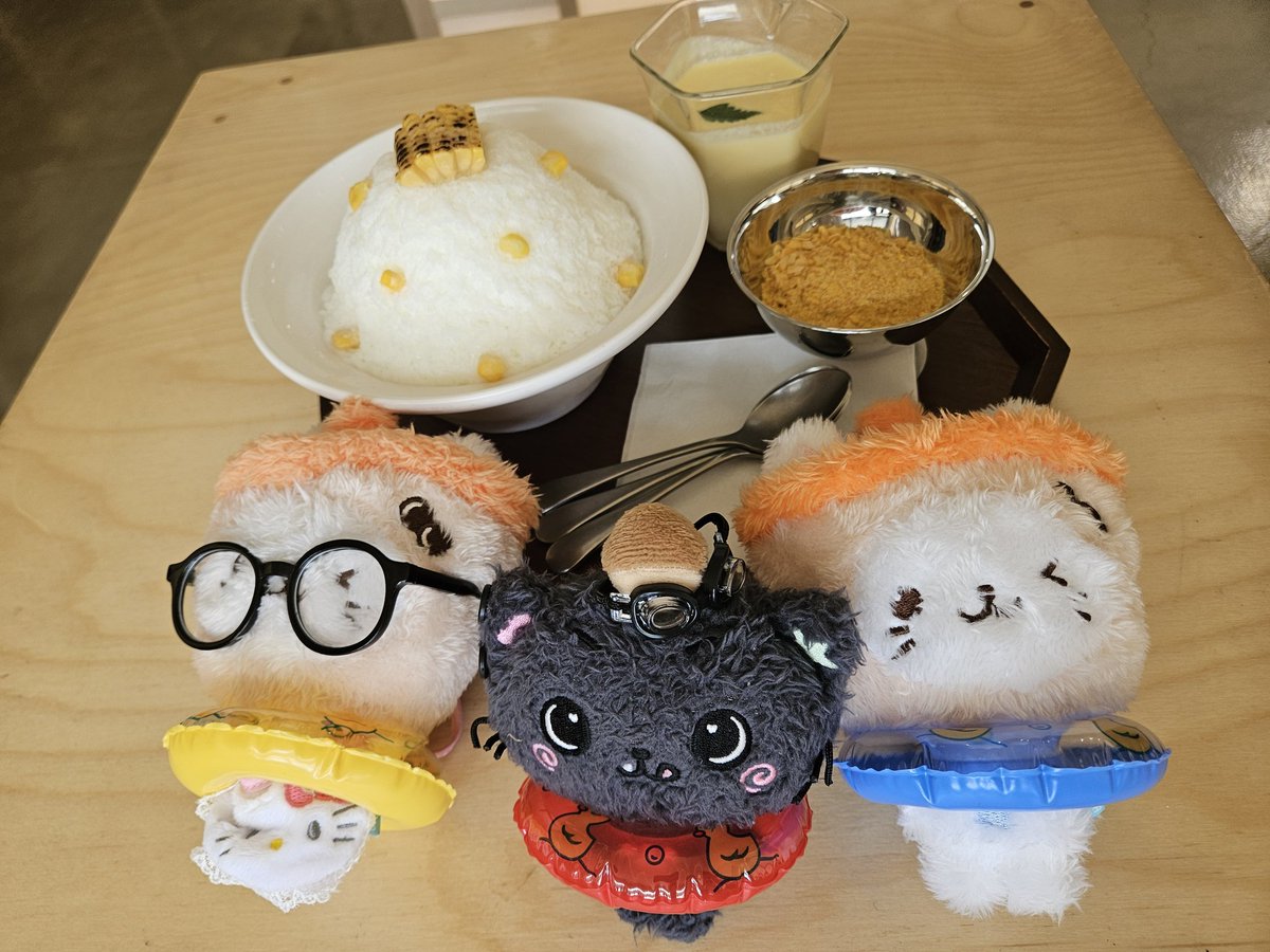 서프사녹대신 바다여행🏖🌊