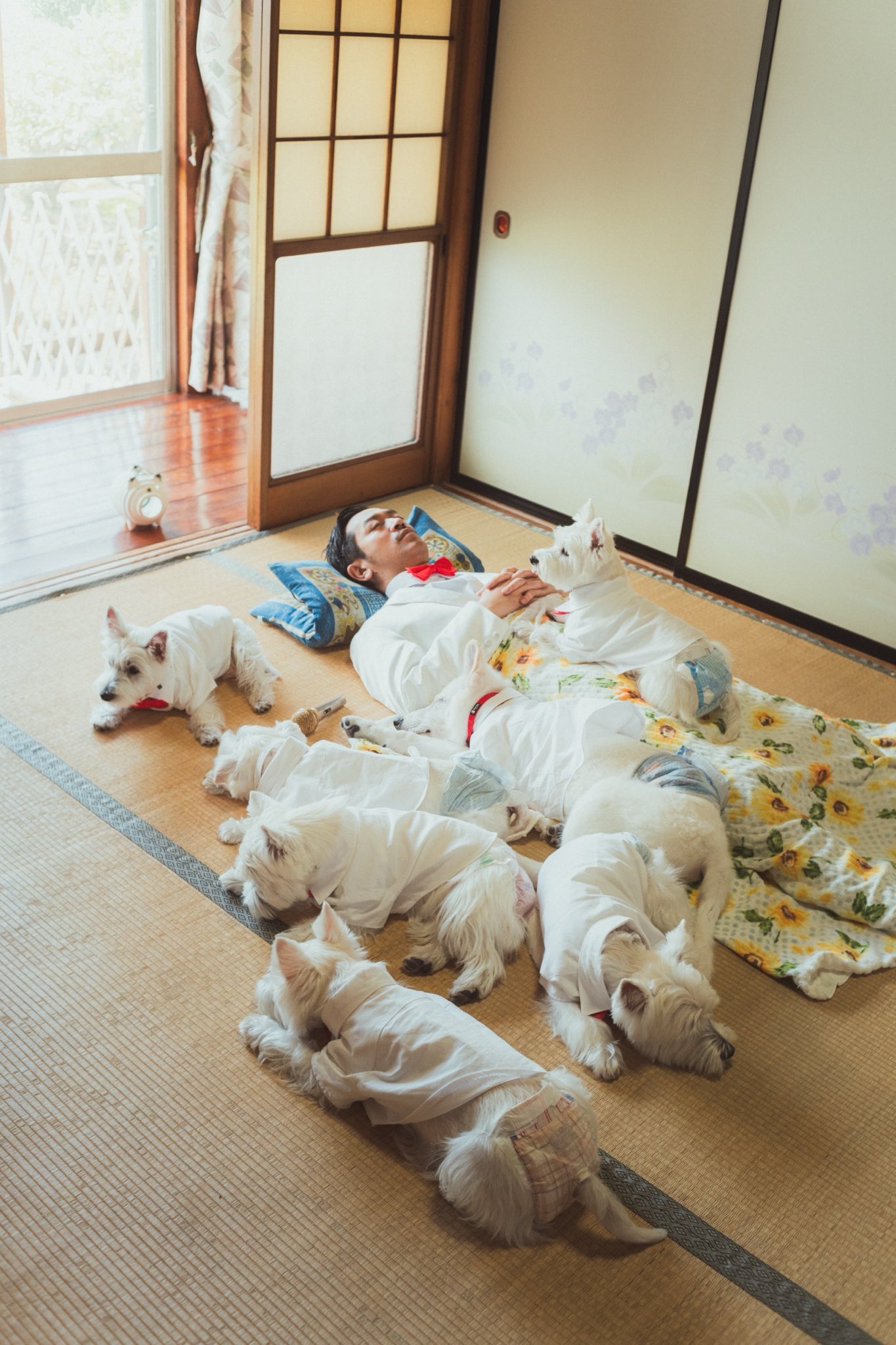 ひつじ　様 ぴつじ (@Runway34Rmodels) / X