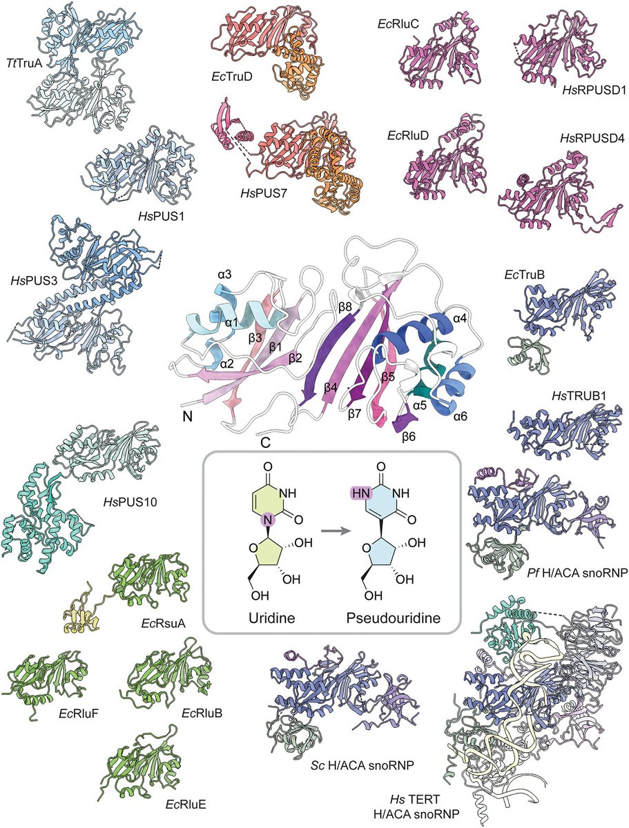 Centre for Programmable Biological Matter tweet media