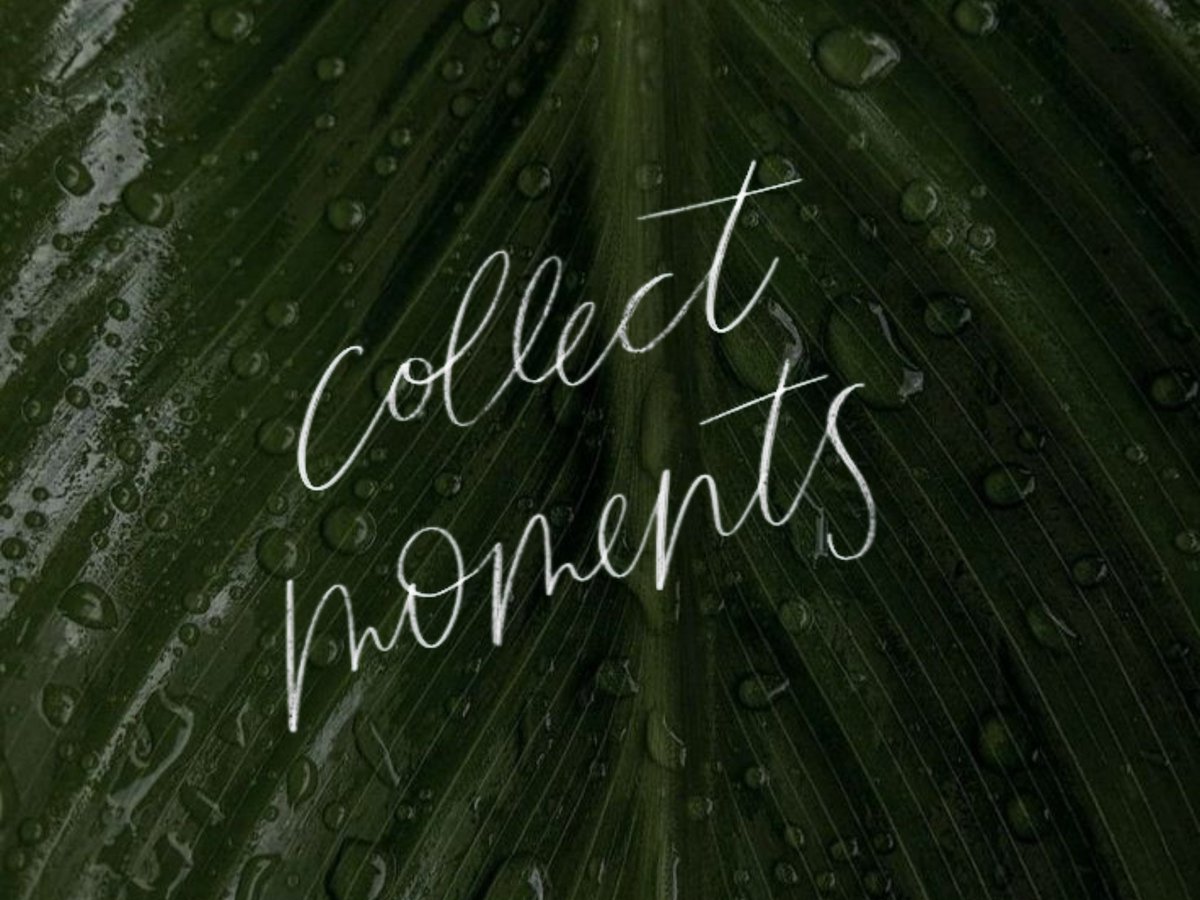 𝒆𝒍𝒍𝒆𝒏 tweet media