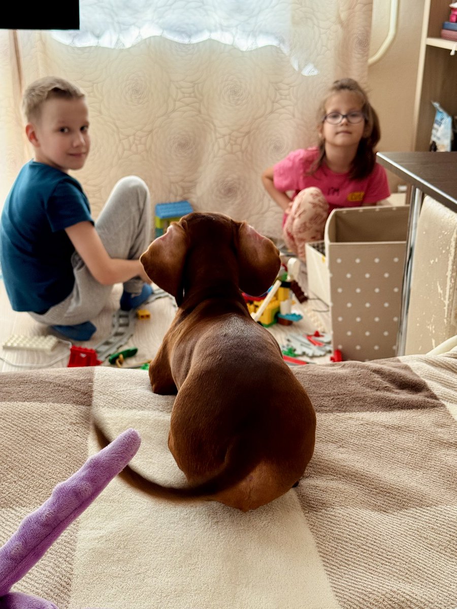 Детский сад «хвостики и носики»