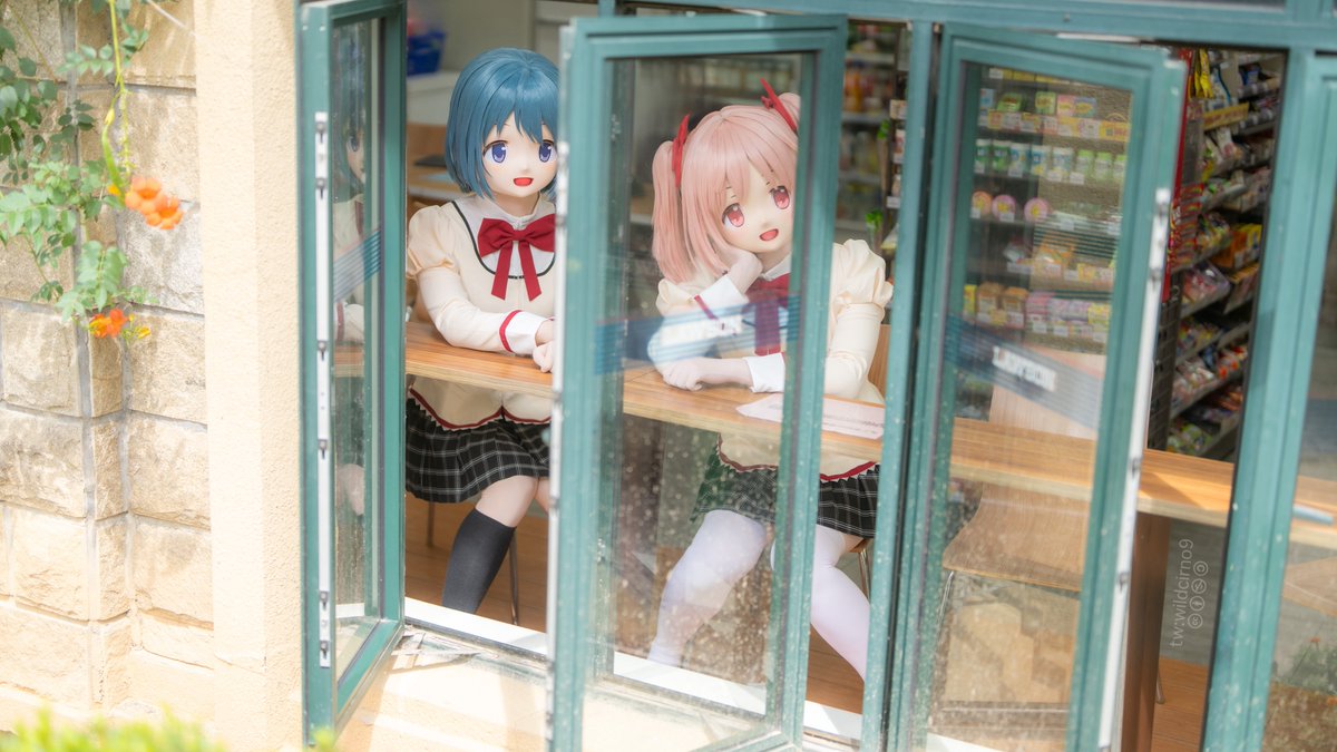 ⑨喵～ tweet media