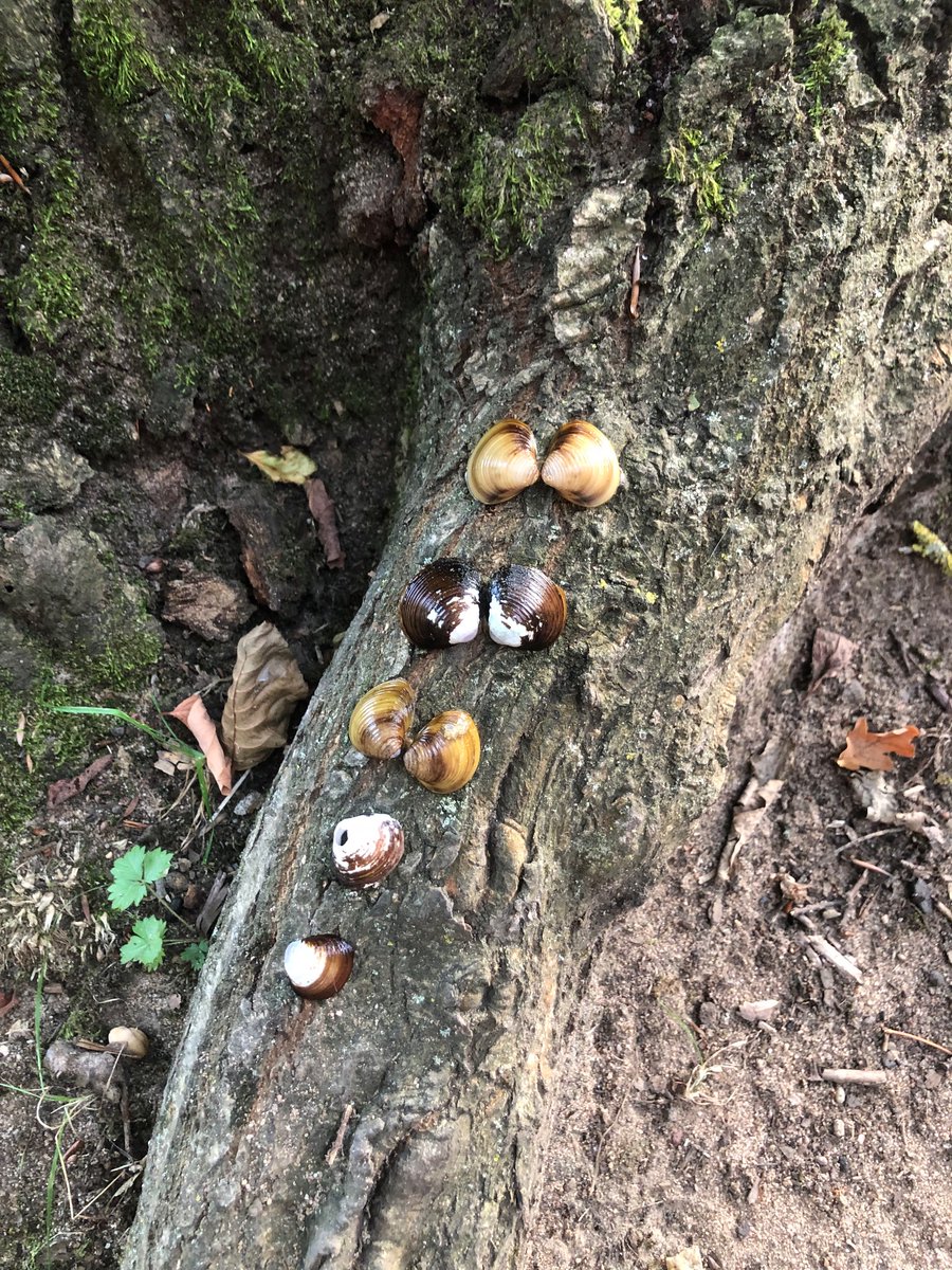 So hat es sich leben lassen gestern