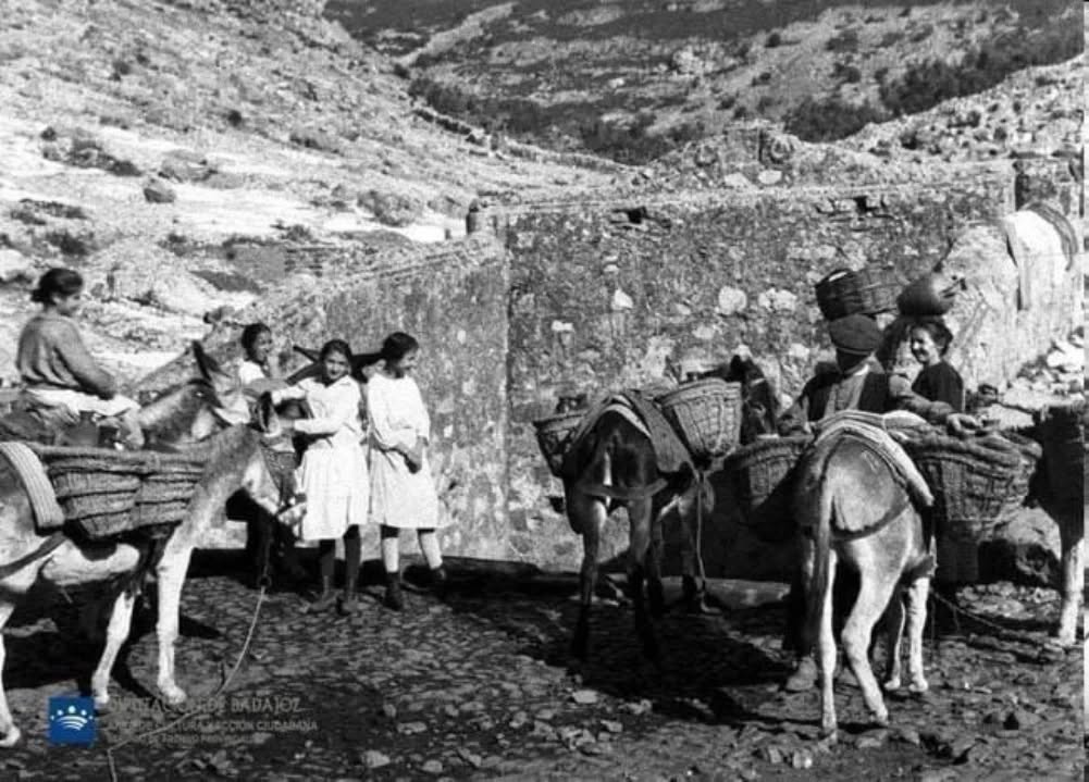 Oficina de Turismo de Hornachos tweet media