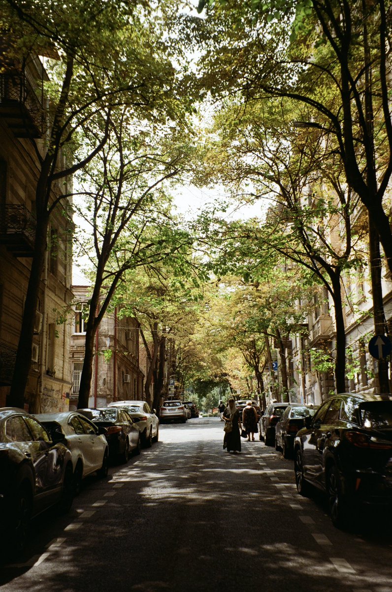Пленочка из Грузии тоже имеется. Впервые снимала на Лейку, это такой кайф, конечно 😍

<a href="/nysaaash/">саша піпа</a> <a href="/nordalin/">Alexander Zakharov</a>