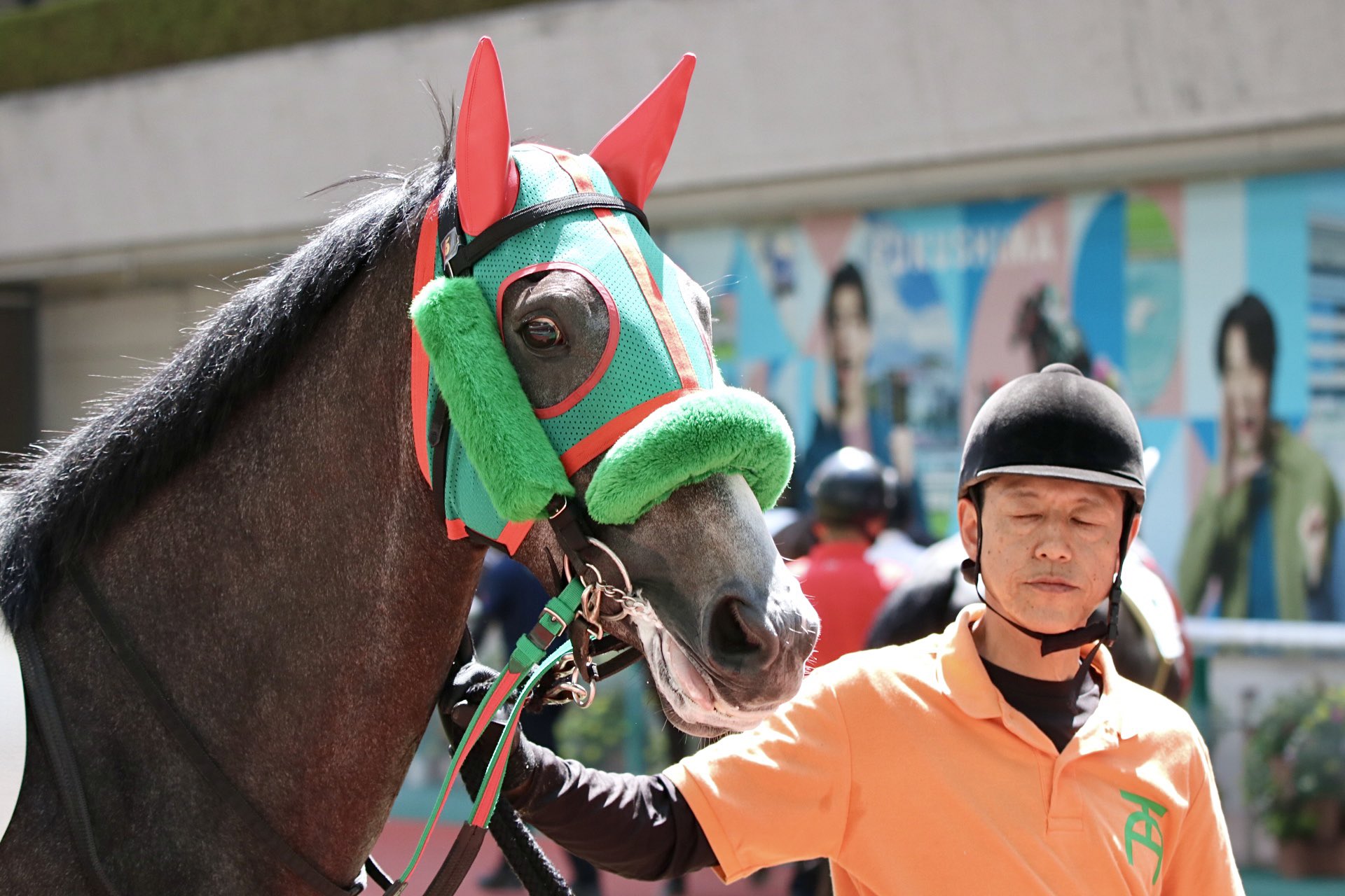 競馬 引退品 楽天市場】【ふるさと納税】 競走馬 支援 黒潮友馬会応援 特典