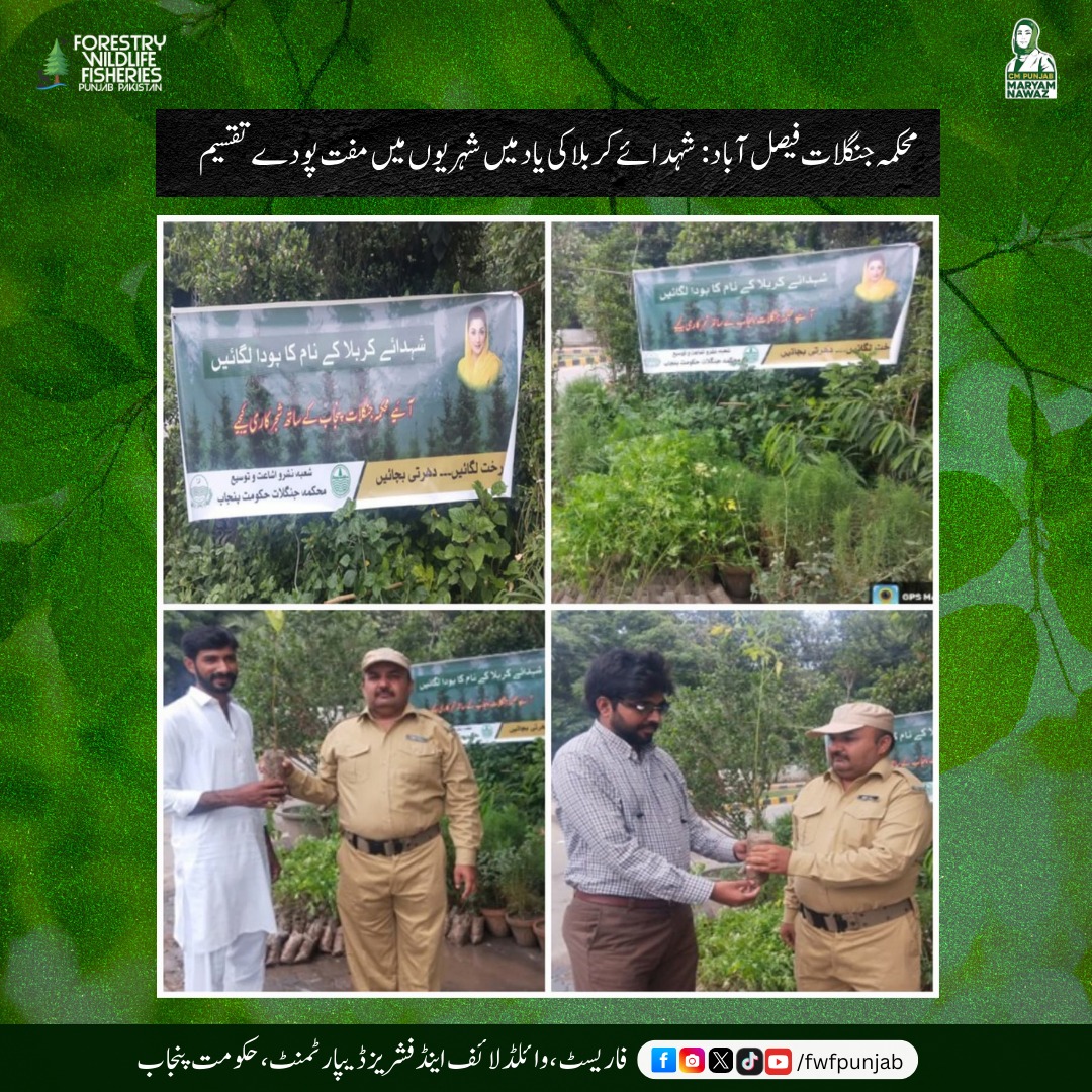 fwfpunjabpk's tweet image. پنجاب بھر میں محکمہ جنگلات کی جانب سے شہداء کربلا کو خراج عقیدت پیش کرتے ہوئے پودوں کی تقسیم کی گئی۔

#fwf #trees #forest #religious#i̇slam