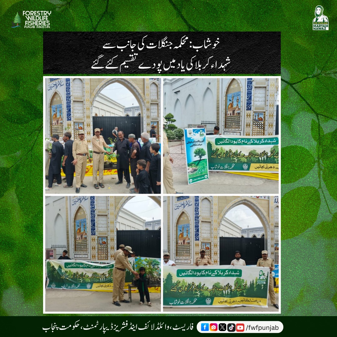 fwfpunjabpk's tweet image. پنجاب بھر میں محکمہ جنگلات کی جانب سے شہداء کربلا کو خراج عقیدت پیش کرتے ہوئے پودوں کی تقسیم کی گئی۔

#fwf #trees #forest #religious#i̇slam