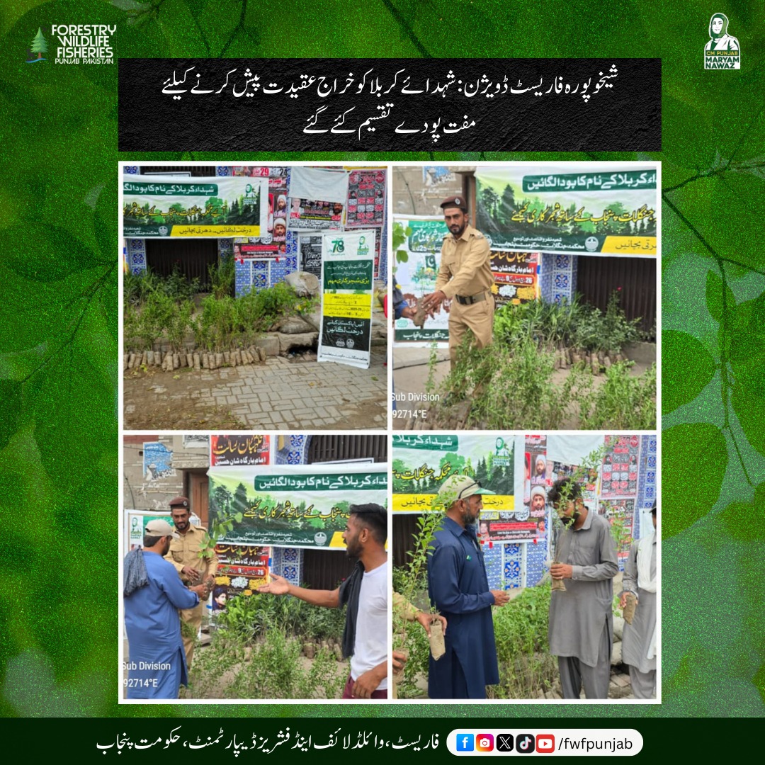 fwfpunjabpk's tweet image. پنجاب بھر میں محکمہ جنگلات کی جانب سے شہداء کربلا کو خراج عقیدت پیش کرتے ہوئے پودوں کی تقسیم کی گئی۔

#fwf #trees #forest #religious#i̇slam