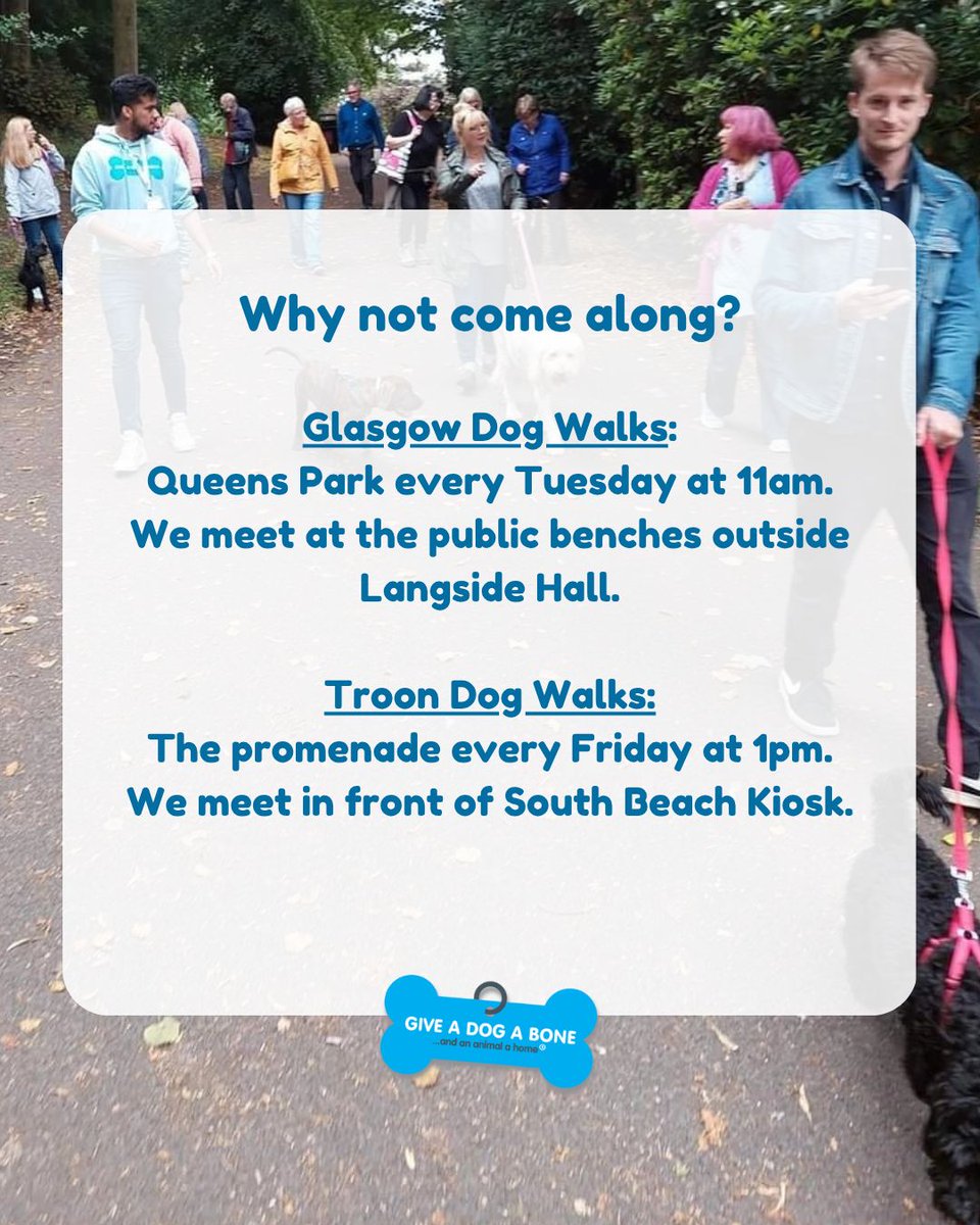 giveadogaboneN's tweet photo. Our group dog walks are free, friendly, and open to everyone—even if you don’t have a dog!
Come along and make some new friends 💙
#troondogwalks #glasgowdogwalks #animalcharity #beatloneliness https://t.co/8F5C2234by