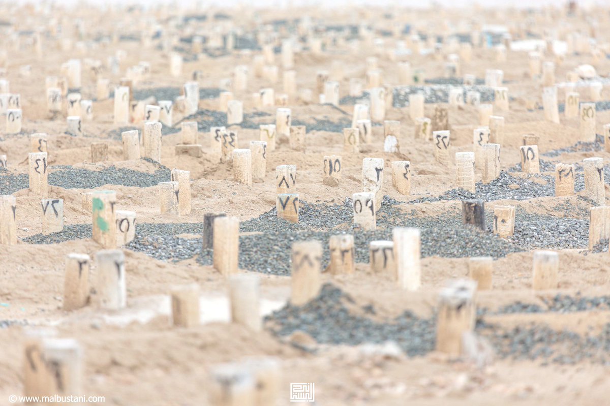 اللهُم في يوم الجمعه أنِر قبور موتانا واجعل ملائكة الرحمه تطوف عليهم من كل جانب 🤲  

اللهم ارحمهم في باطن الأرض واسترهم يوم العرض يارب أنت خلقتهم وأنت أخذتهم وأنت الرحيم فليس غيرك ارحم بهم فـ يارب اجبر كسر كل فاقد بلقاء من فقد في الجنه 🤲